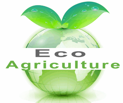 Eco Agriculture Community Eco Living