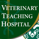 CSU Veterinary Teaching Hospital